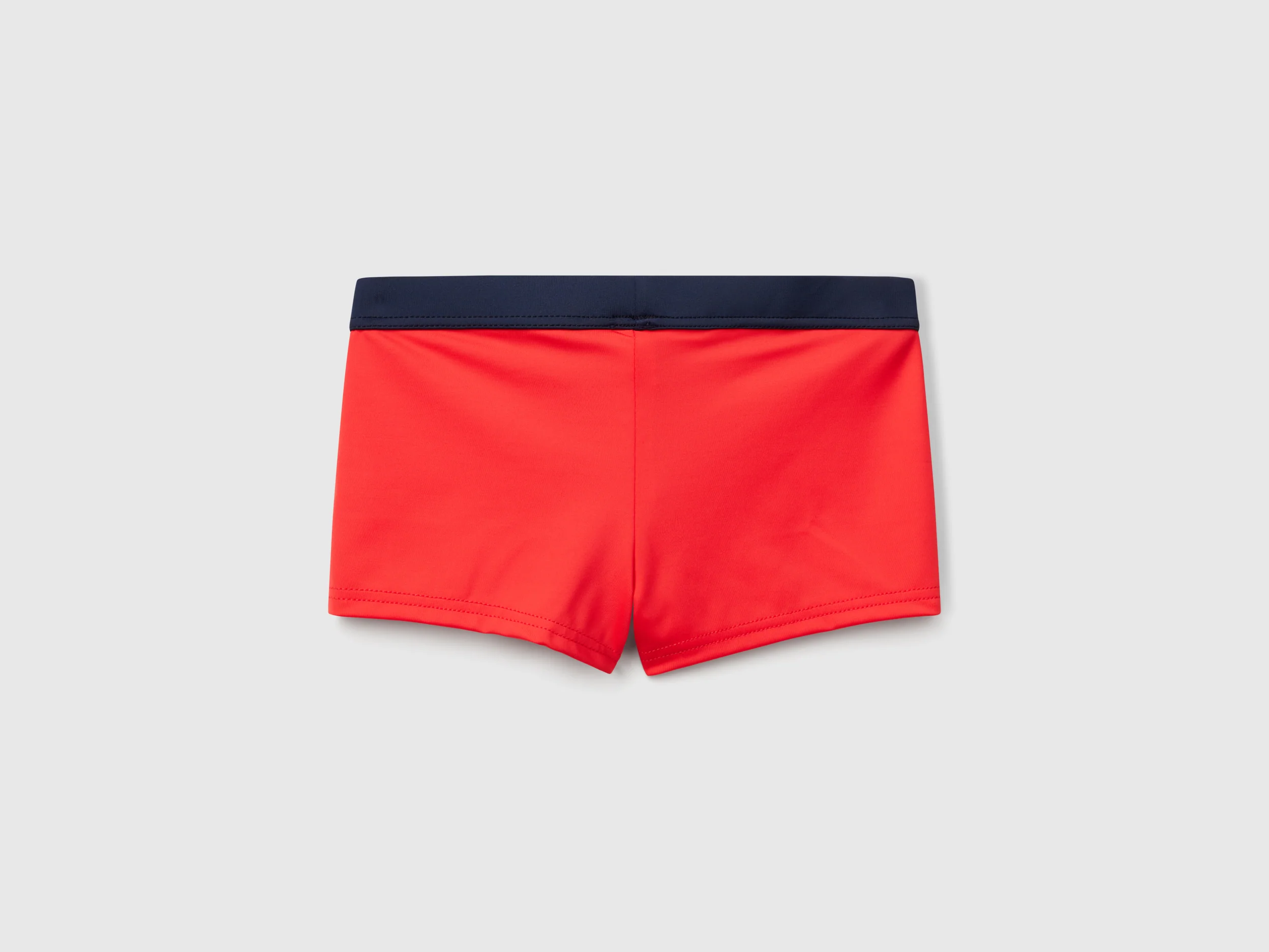 Boxer mare - Image 2