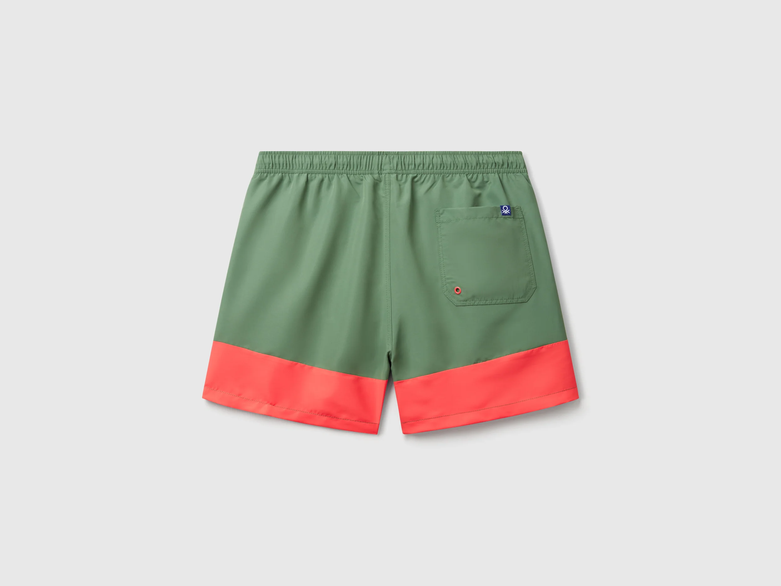 Boxer mare color block - Image 2
