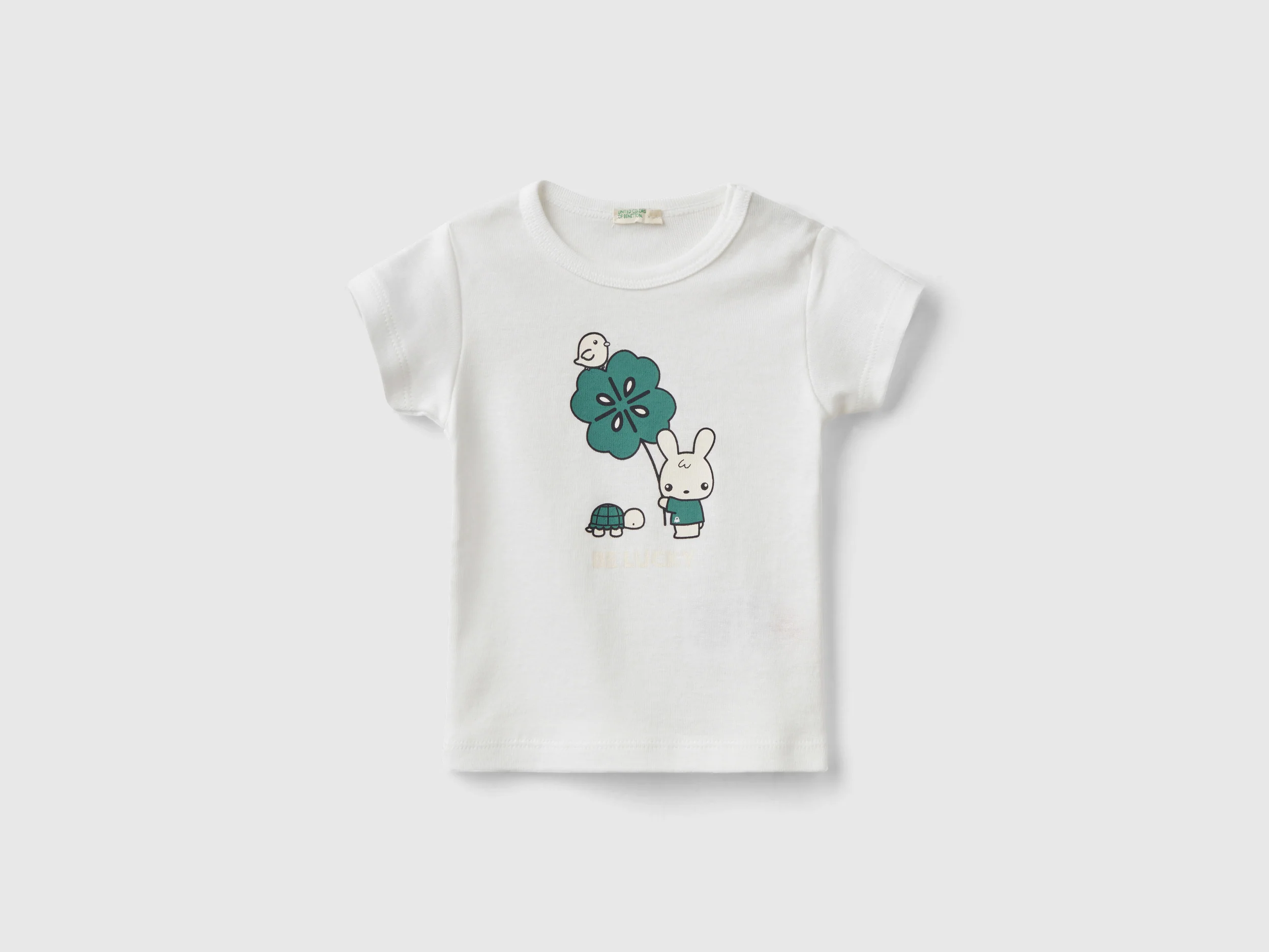 Maglietta 100% cotone biologico