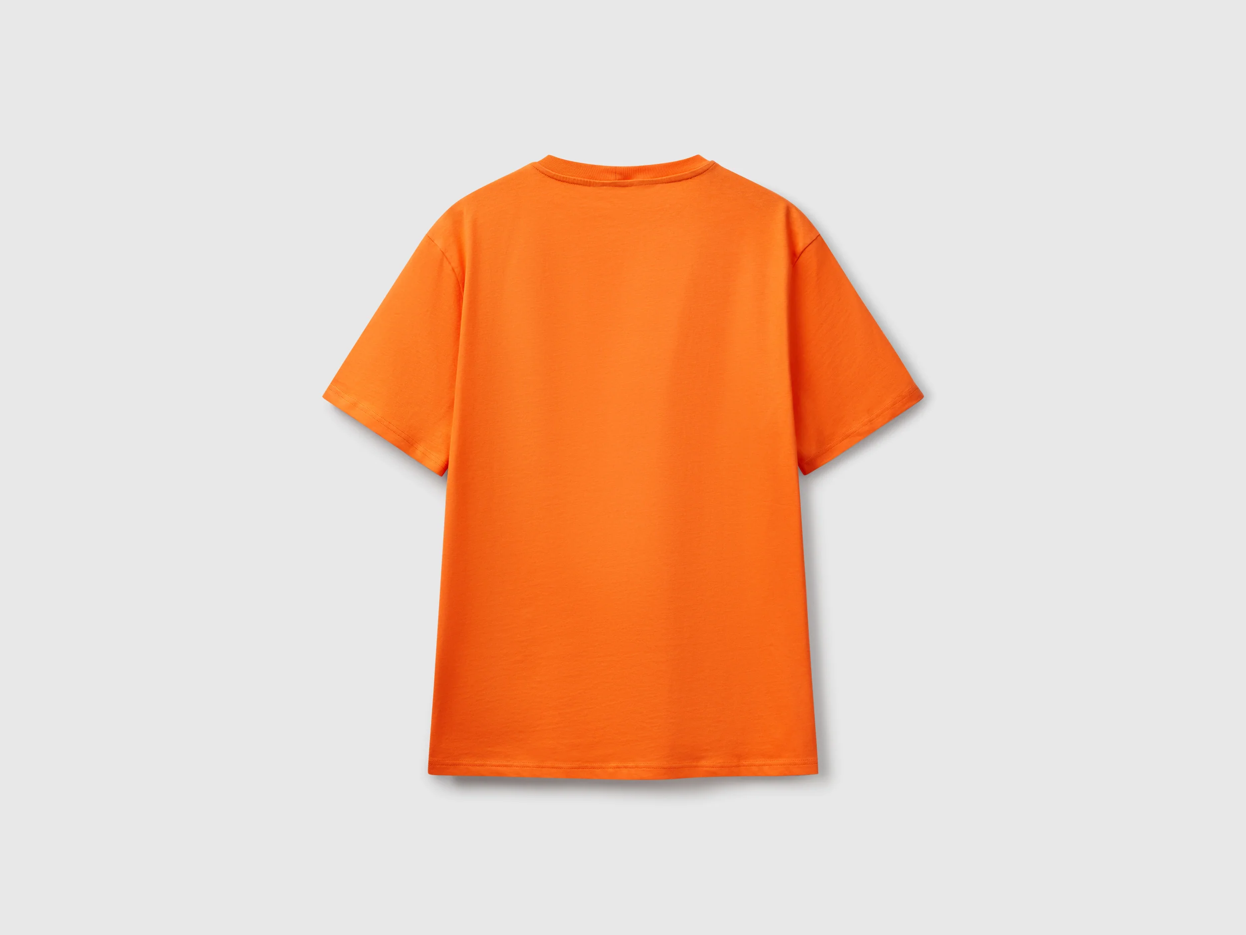 T-shirt basica cotone - Image 2