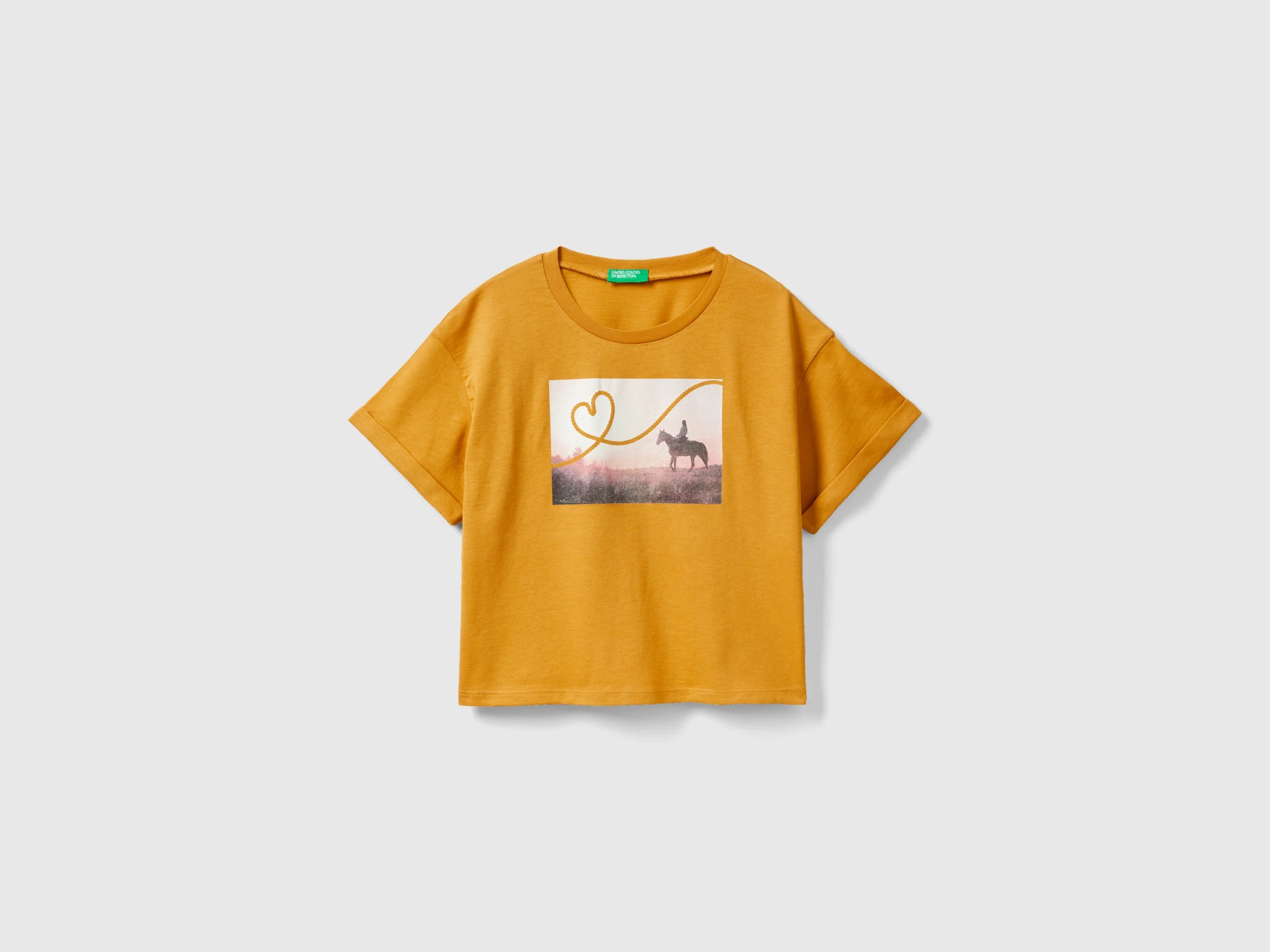 T-shirt con stampa fotografica cavalli