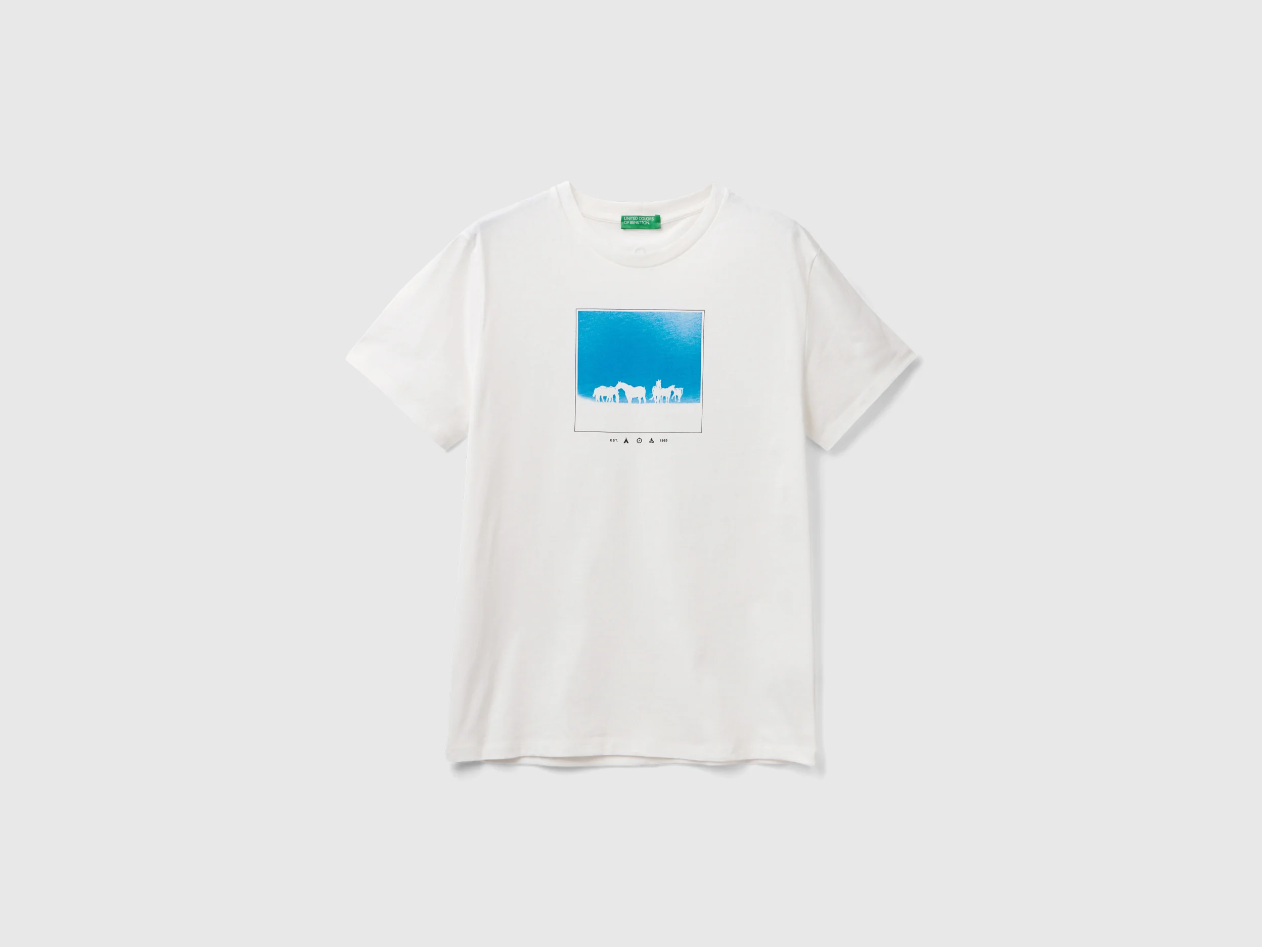 T-shirt regular fit con stampa